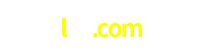 l55.com